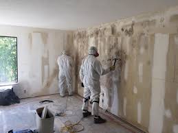 Best Water Damage & Mold Remediation  in Dunkirk, NY